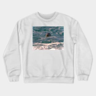 SOAKIN' IT UP! Crewneck Sweatshirt